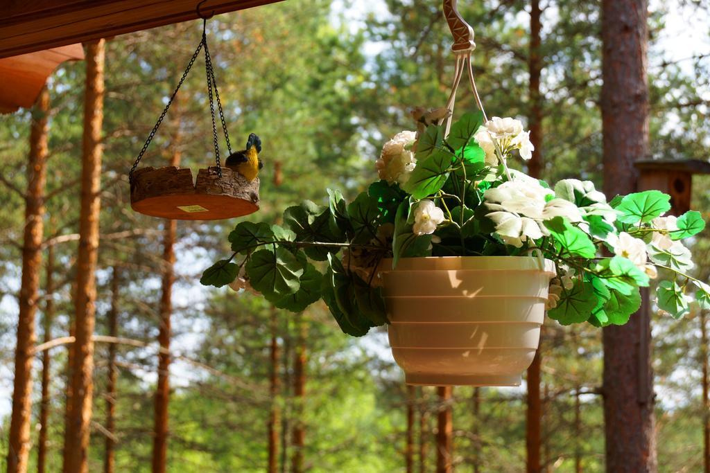 Kettu Holl Cottage Taipalsaari Екстер'єр фото
