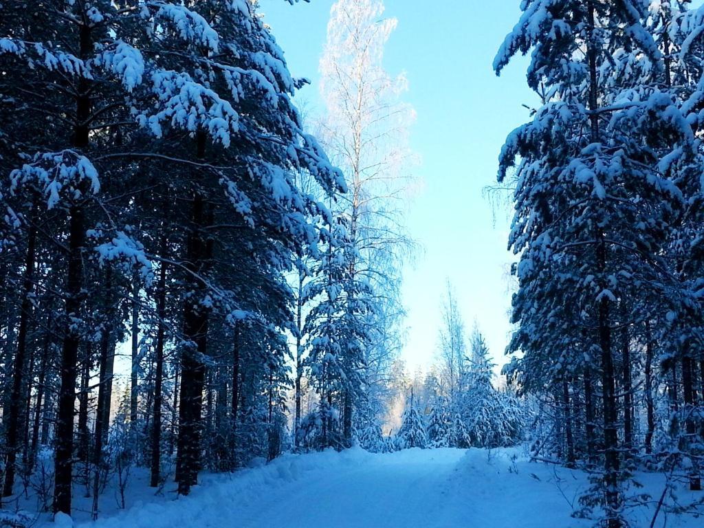 Kettu Holl Cottage Taipalsaari Екстер'єр фото