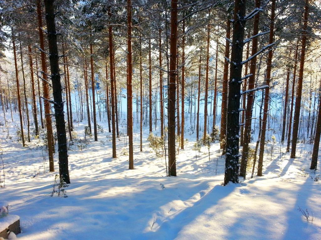 Kettu Holl Cottage Taipalsaari Екстер'єр фото