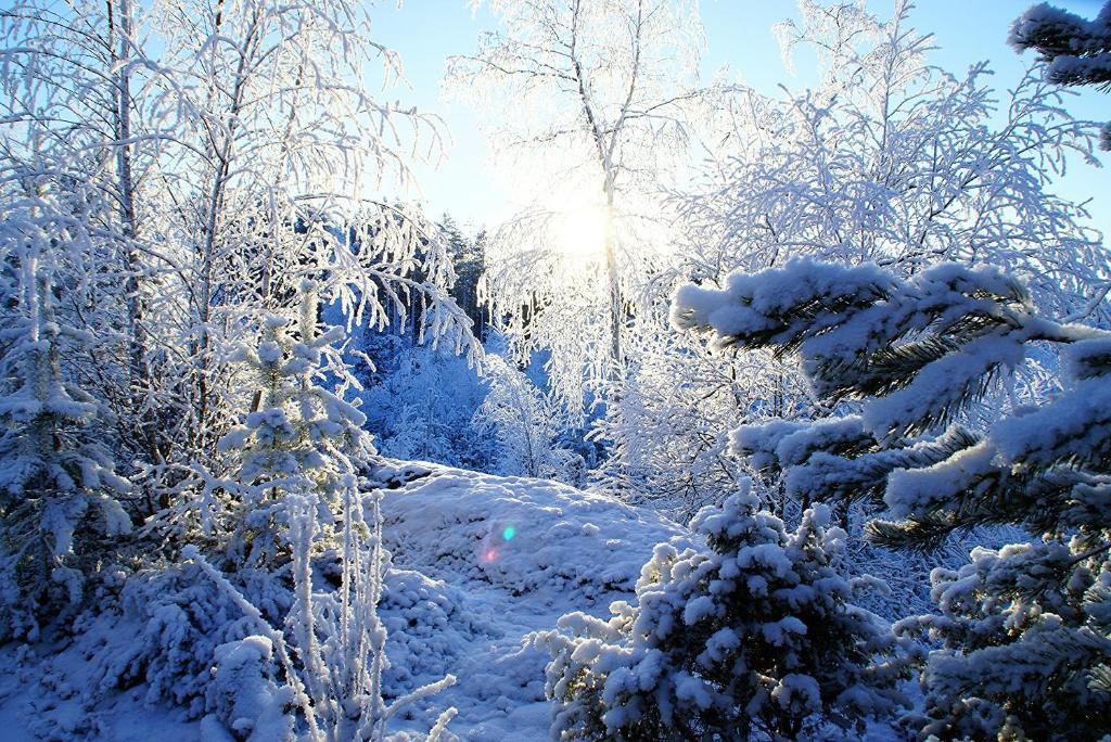 Kettu Holl Cottage Taipalsaari Екстер'єр фото
