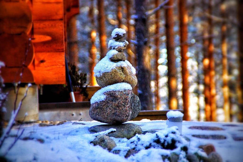 Kettu Holl Cottage Taipalsaari Екстер'єр фото